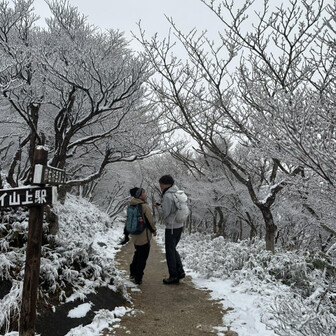 人には人の乳酸菌