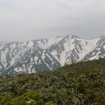 北股岳