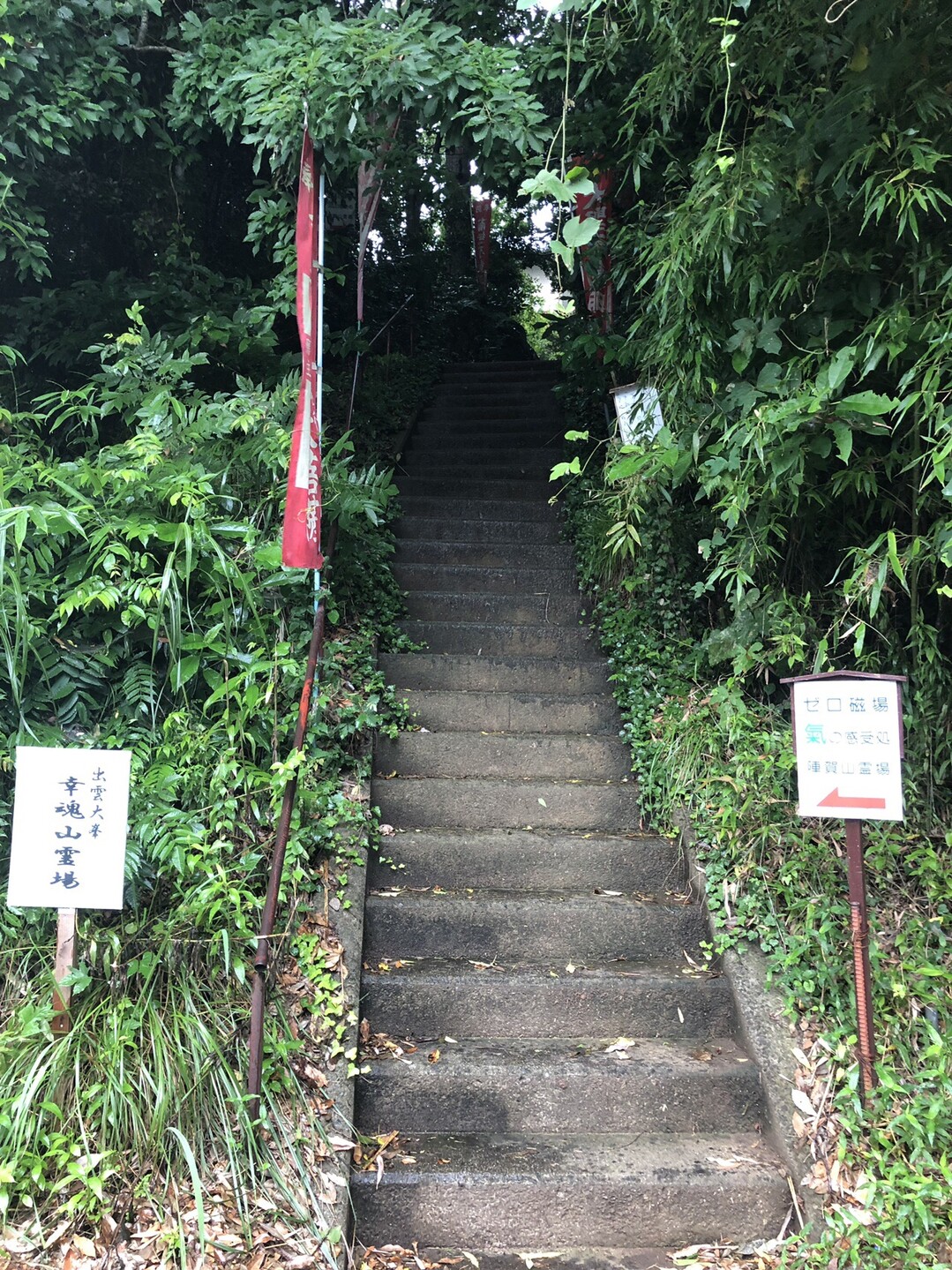 磁場 は ゼロ と
