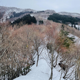 蘇武岳 七合目からも痩せ尾根、要注意⚠️