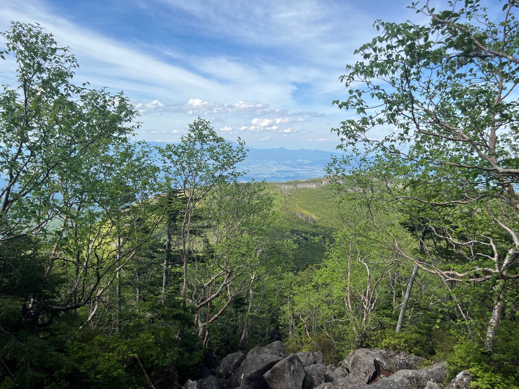 振り返ると、佐久方面