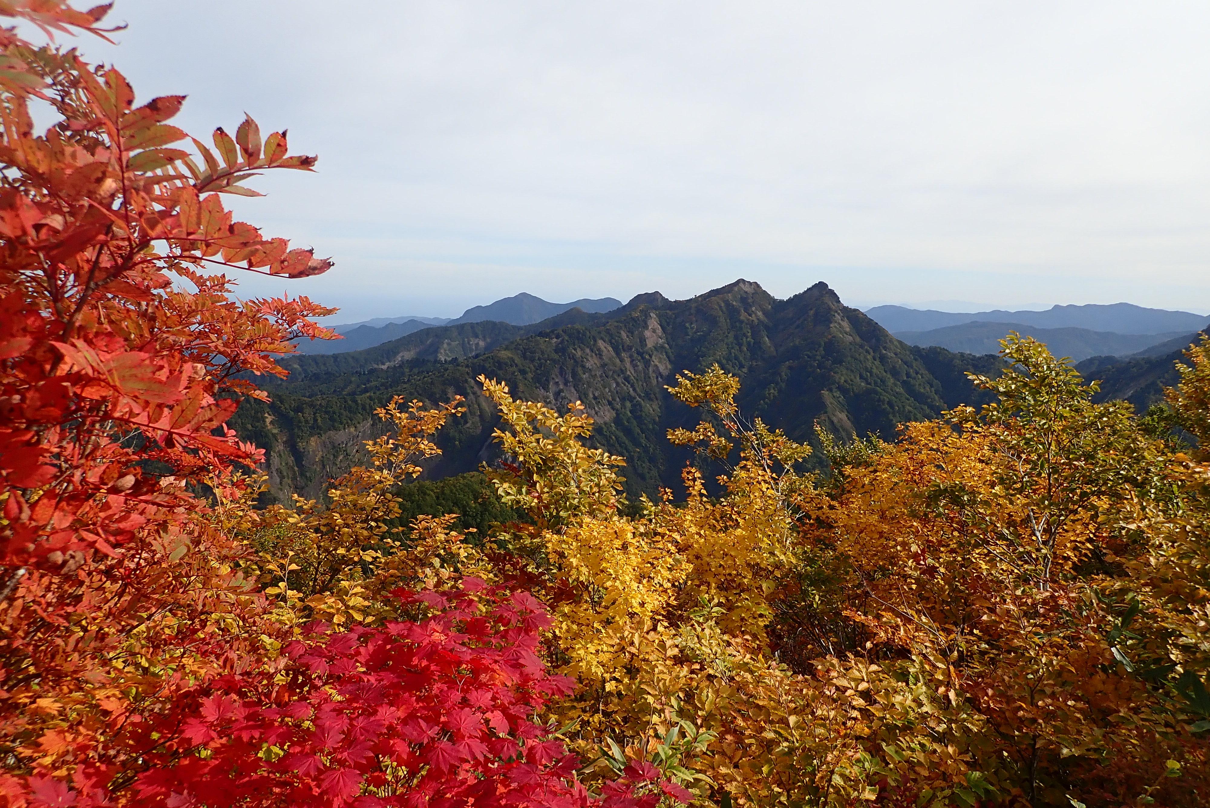 頸城駒ヶ岳,鬼ヶ面山,鋸岳 / momoyamaさんの駒ヶ岳の活動データ YAMAP / ヤマップ