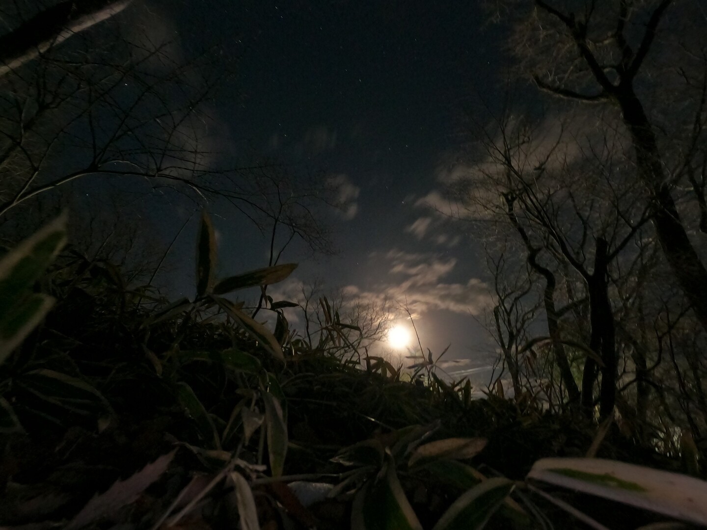 夜のとばりが下りる – 夜のとばりの物語 – NDUMAM