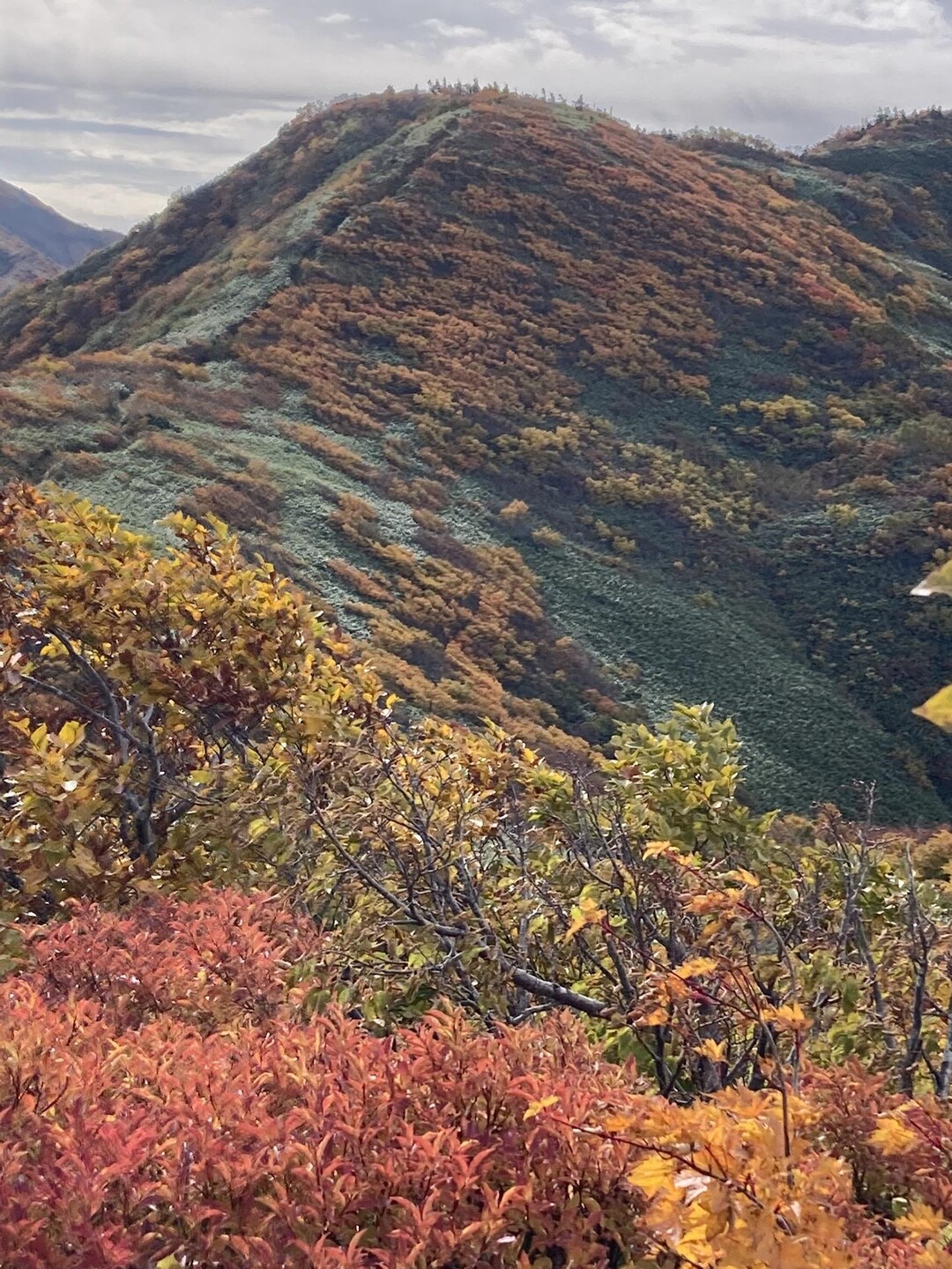 前僧ヶ岳・僧ヶ岳 / まさまささんの僧ヶ岳・駒ヶ岳（越中駒ヶ岳）の活動データ YAMAP / ヤマップ