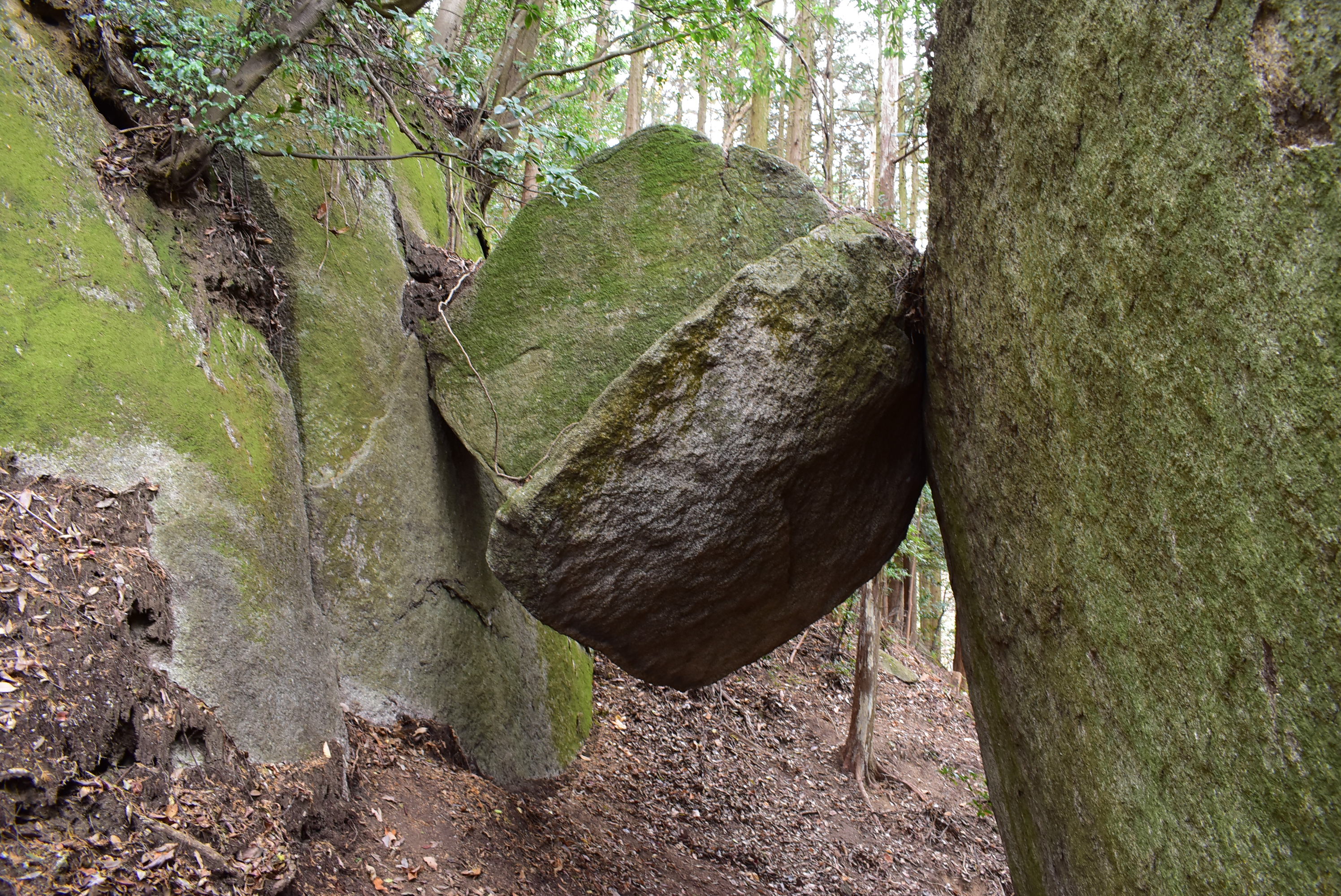 岩石山の 落ちない岩 やまごえさんの岩石山 岩石城 の活動データ Yamap ヤマップ