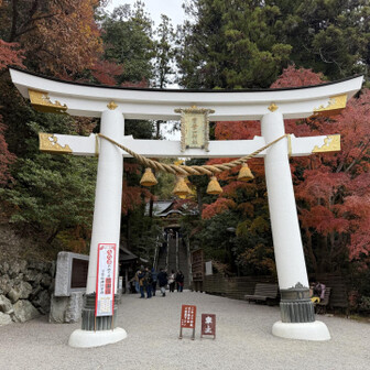山麓の宝登山神社の白い鳥居
は相変わらずカッコイイ