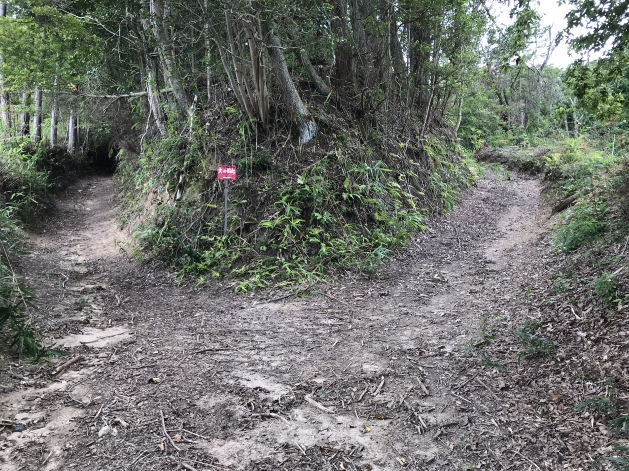 生駒山・神津嶽・大原山 分岐。ここは左へ。