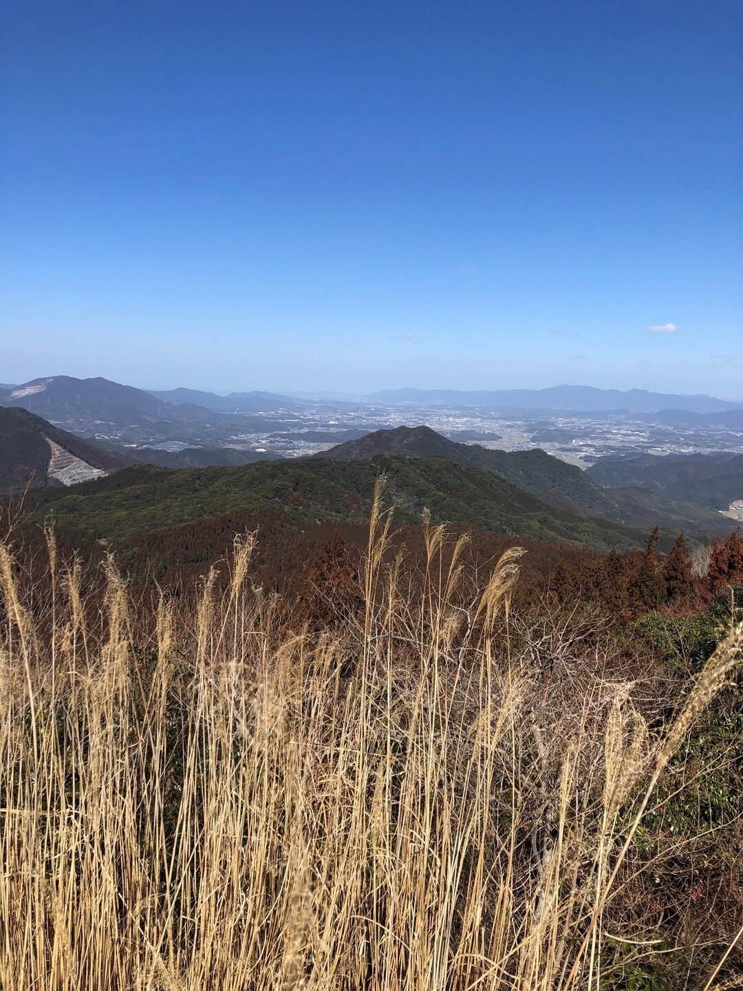 大根地山 / まるさんの大根地山の活動データ YAMAP / ヤマップ