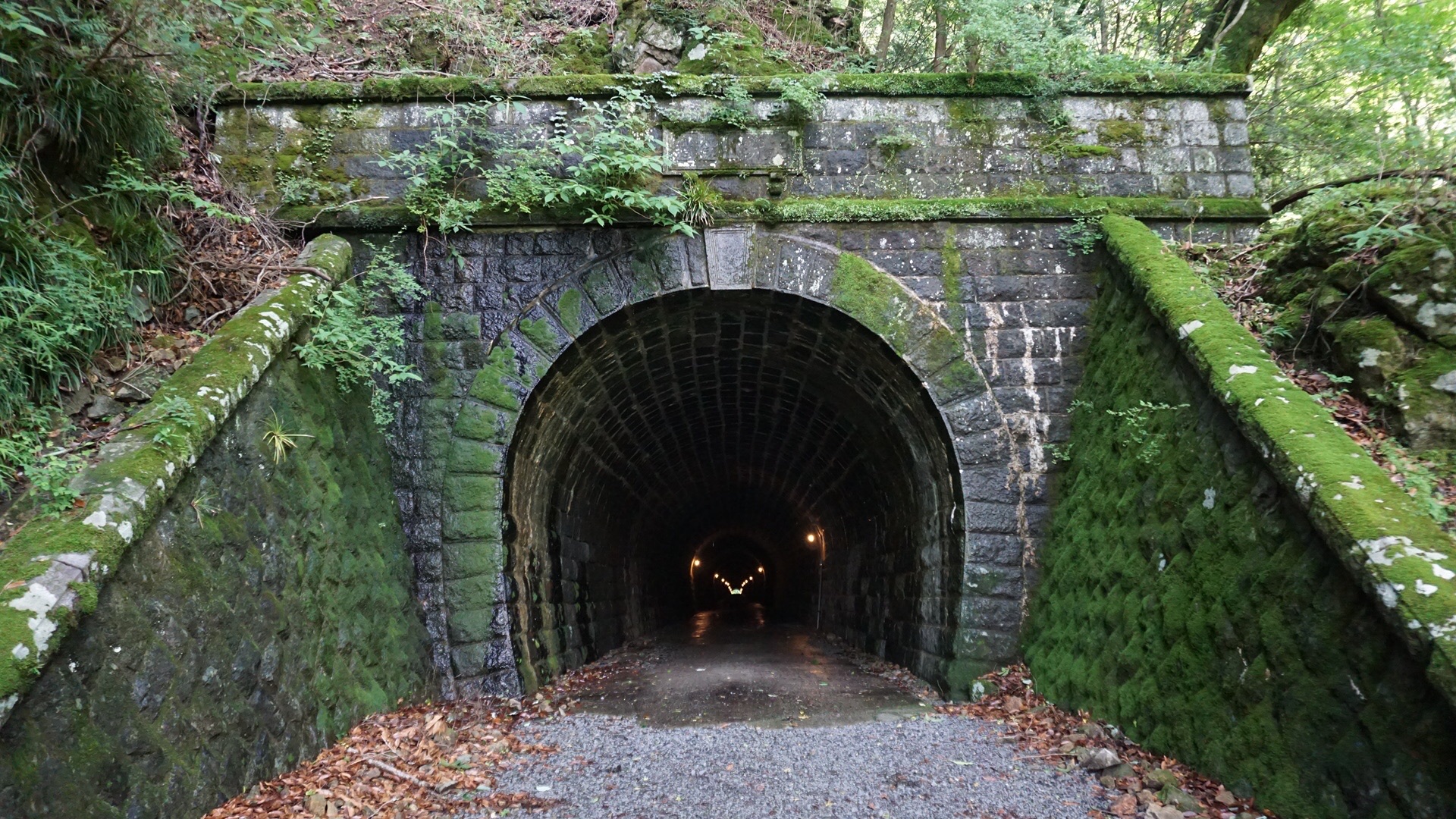天城トンネル 八丁池 06 27 ぼんたさんの天城山 鉢ノ山 三筋山の活動日記 Yamap ヤマップ
