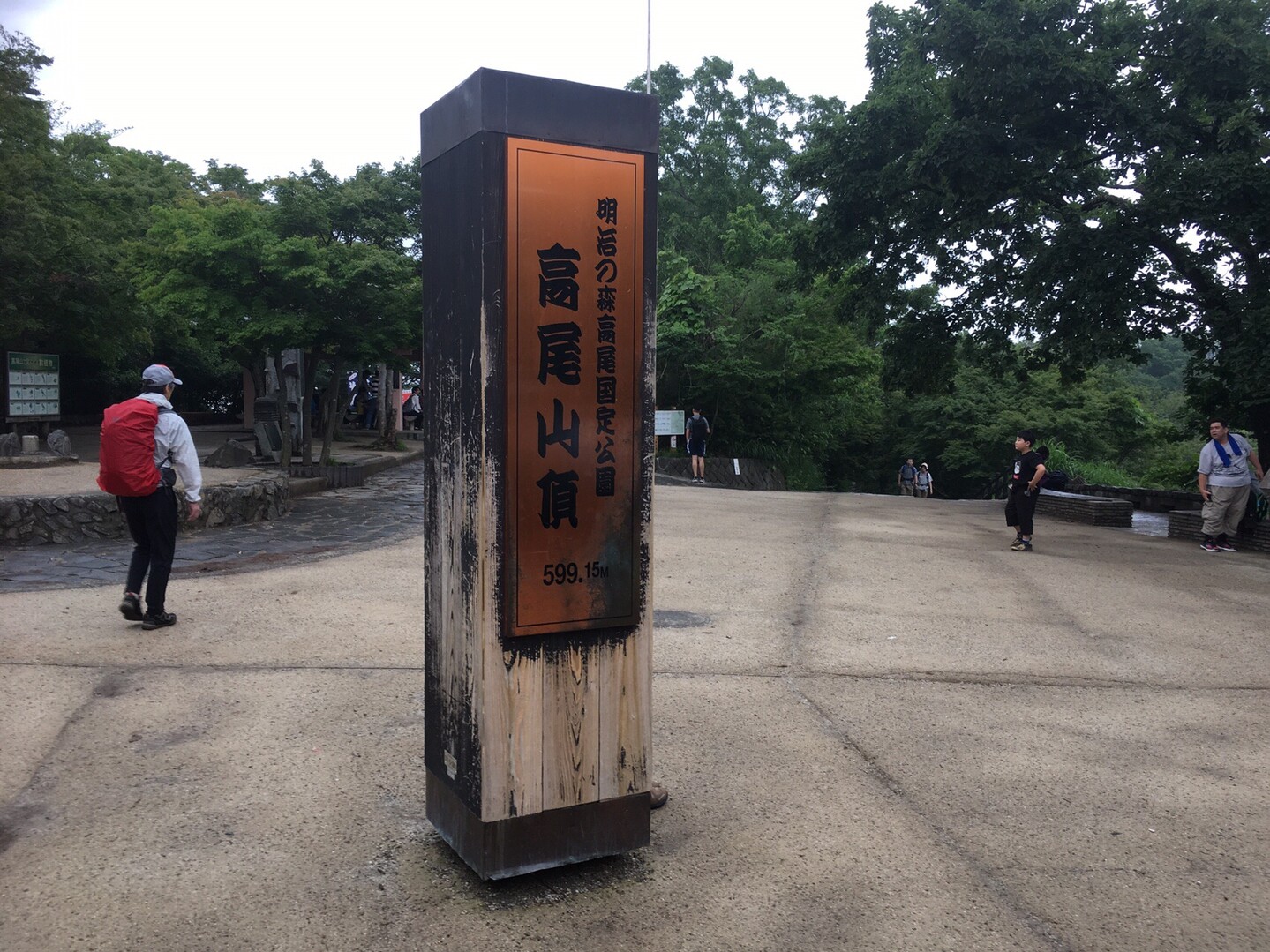 高尾山で樹木観察歩き 時間をかけて Gotofishingさんの高尾山 陣馬山 景信山の活動日記 Yamap ヤマップ