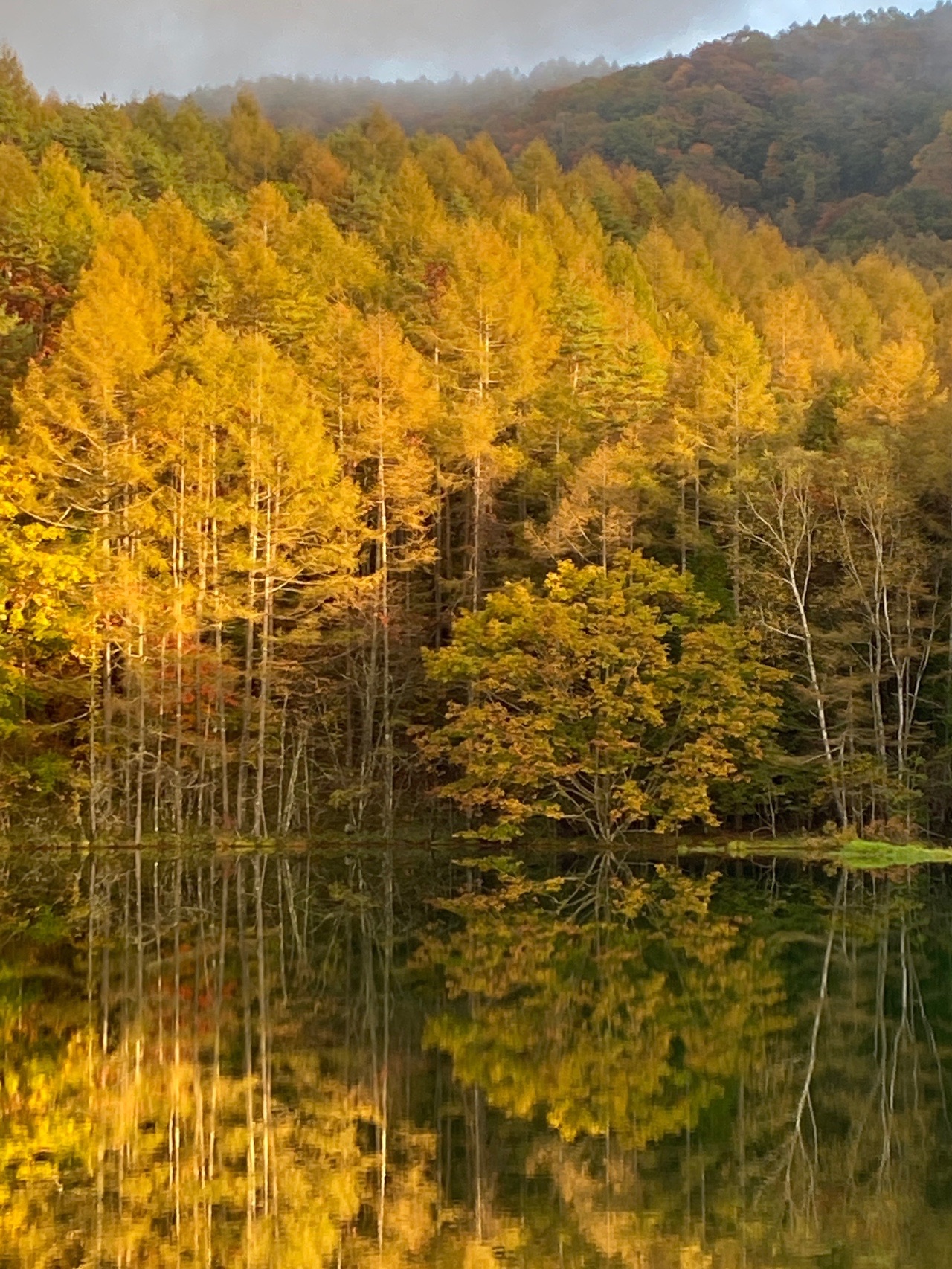 紅葉 の蓼科 横谷渓谷ぷちトレッキング 10 18 へいさんさんの蓼科山 横岳 縞枯山の活動データ Yamap ヤマップ