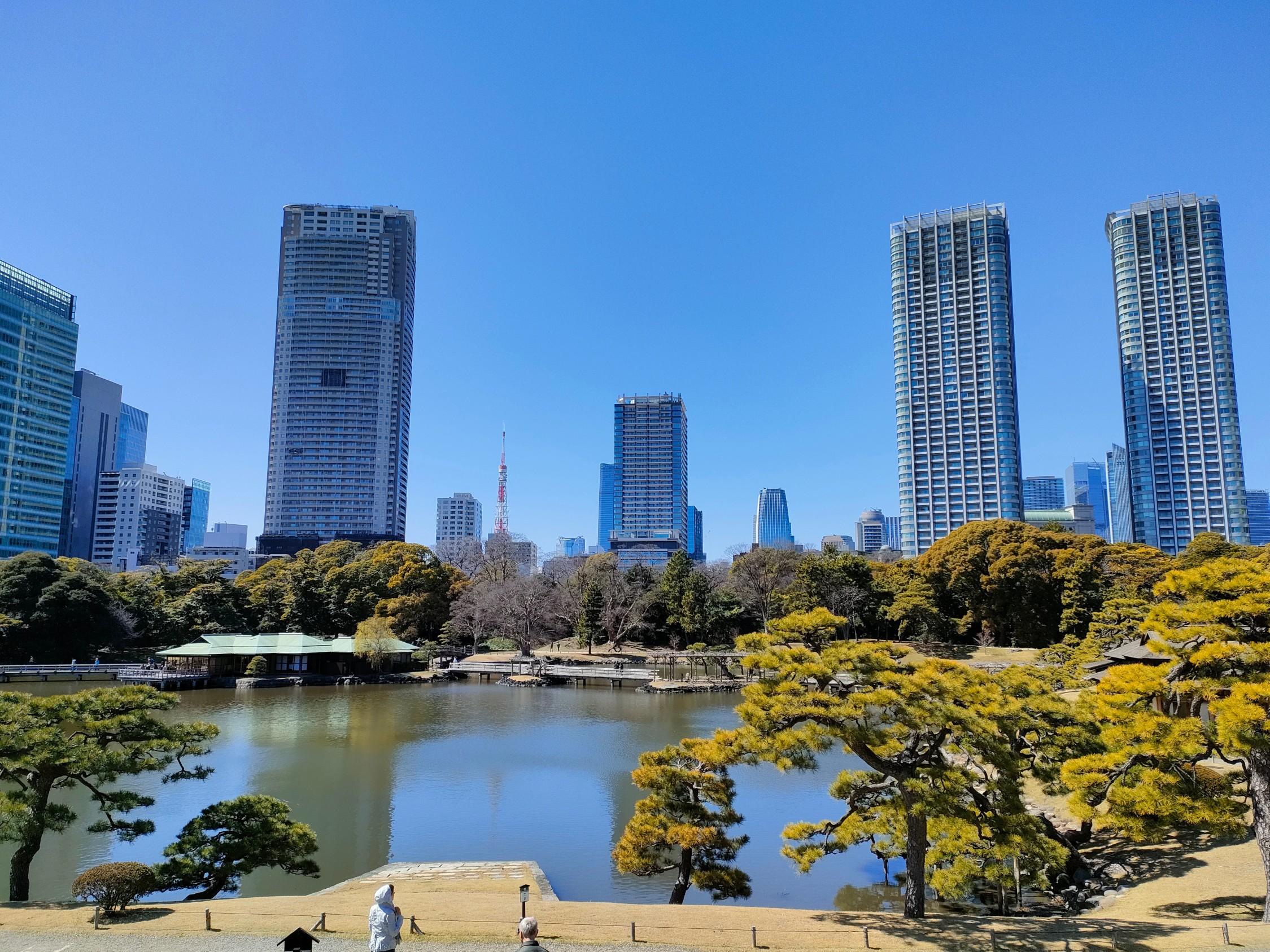 東京都立公園旧芝離宮庭園内池実測平面図 旧芝離宮恩賜