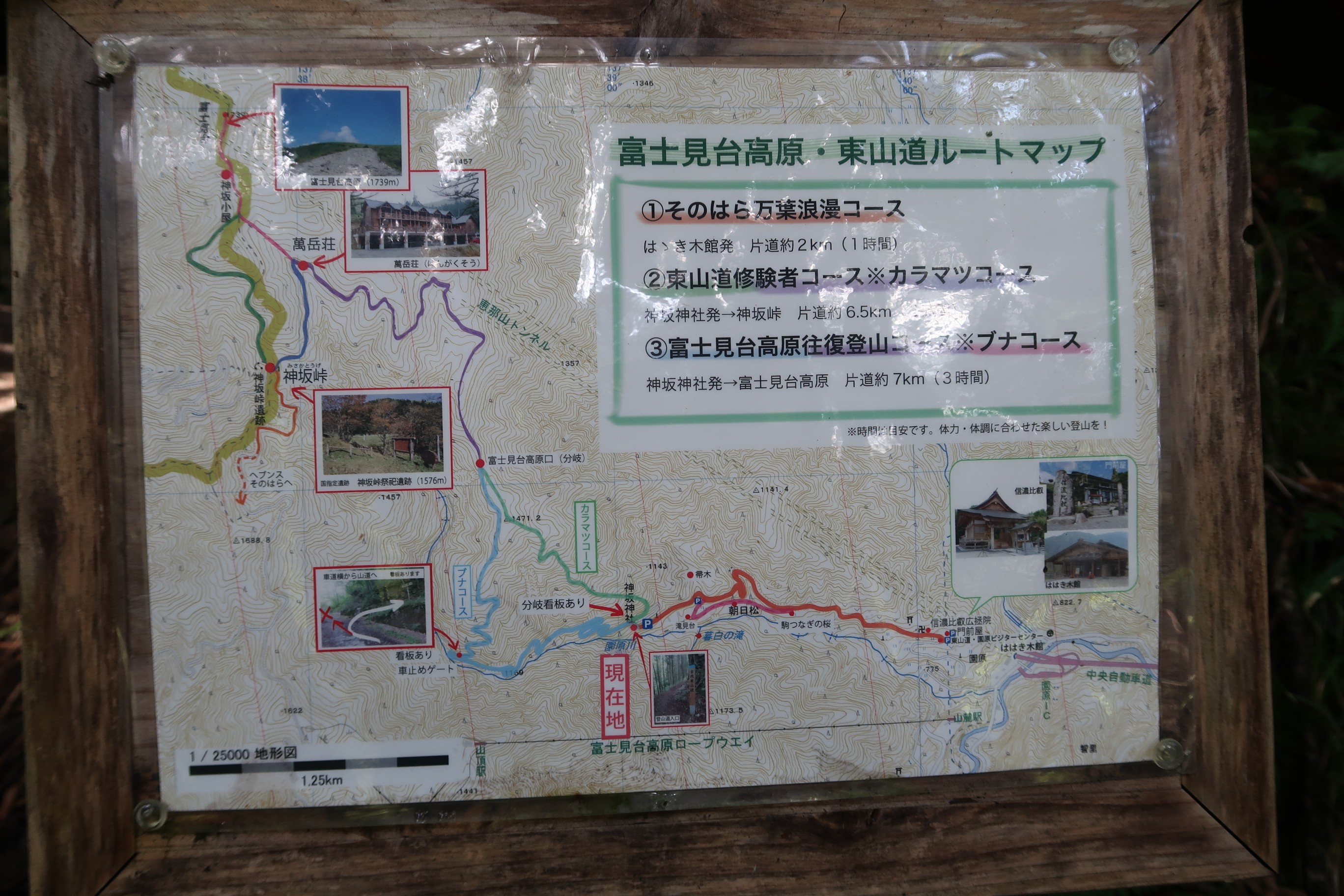 古代東山道から富士見台へ エノハさんの恵那山 大判山 神坂山の活動データ Yamap ヤマップ
