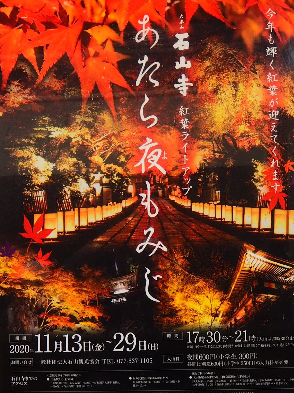 石山寺の紅葉ライトアップ あたら夜もみじ さっくんさんのモーメント Yamap ヤマップ