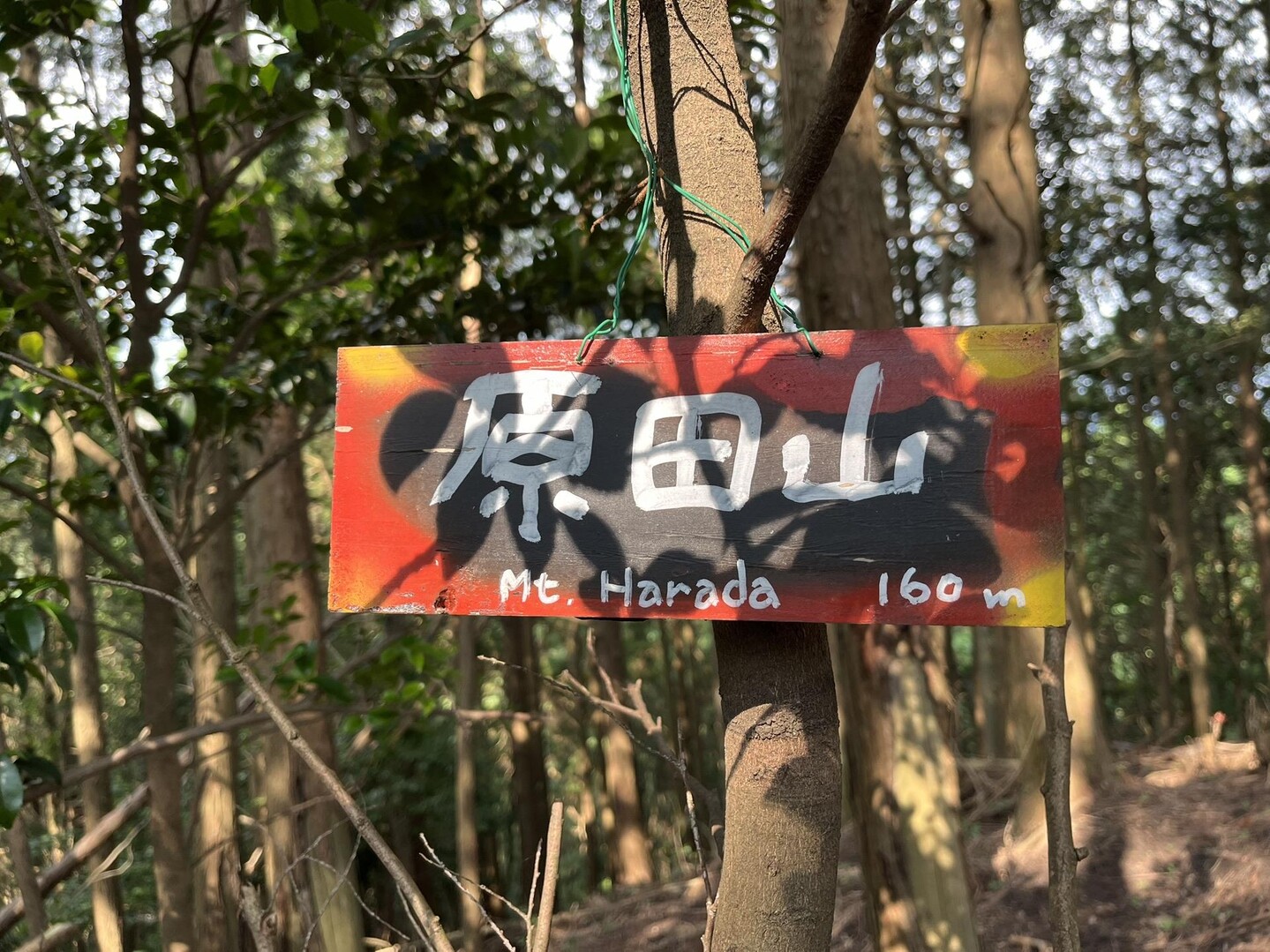 小鬢鏡・鬢鏡山・白山・高山・愛宕山・小藤ヶ熊・宝満山・セビガ尾山・原田山・乙児の辻 / レイさんの犬鳴山・西山（鮎坂山）の活動データ ...