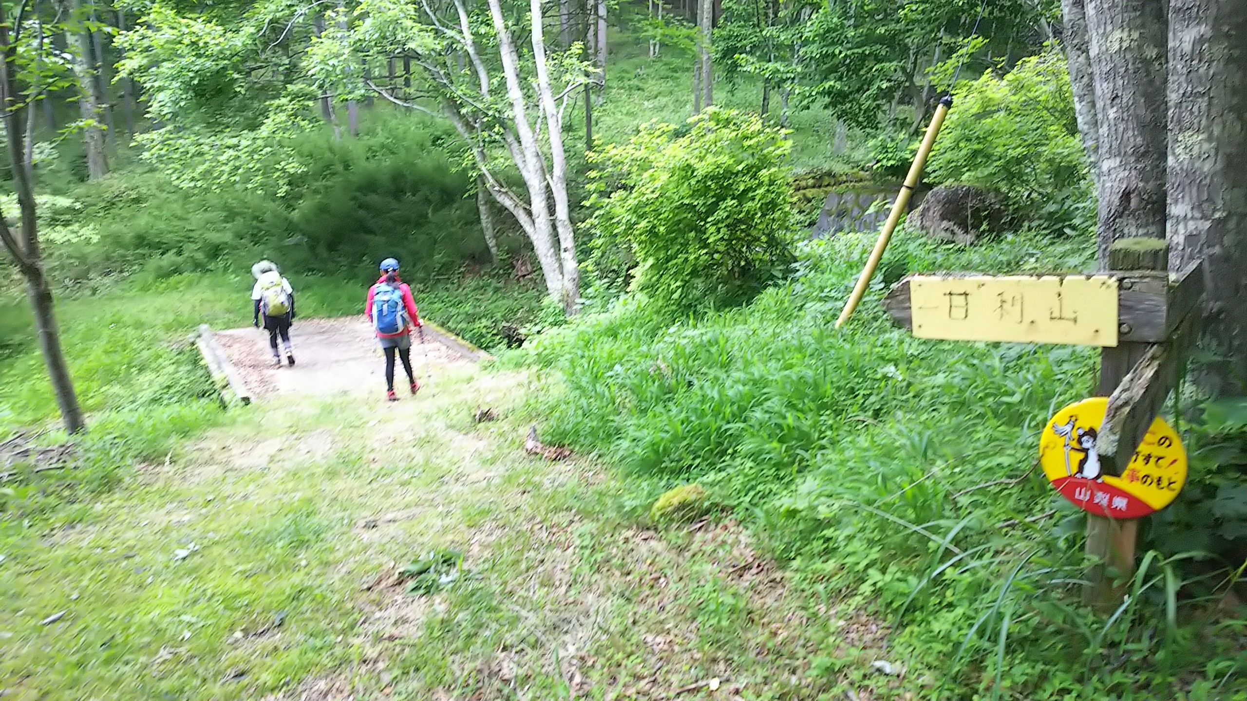 甘利山5 甲斐百山 御所山 さんたろうさんの鳳凰山 地蔵岳 観音岳 薬師岳の活動日記 Yamap ヤマップ