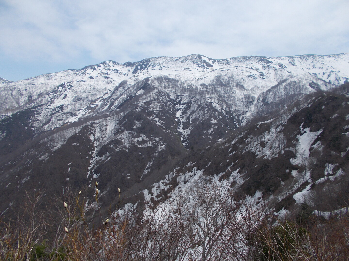 威守松山20200503 / tanakaさんの巻機山・割引岳・金城山の活動データ YAMAP / ヤマップ