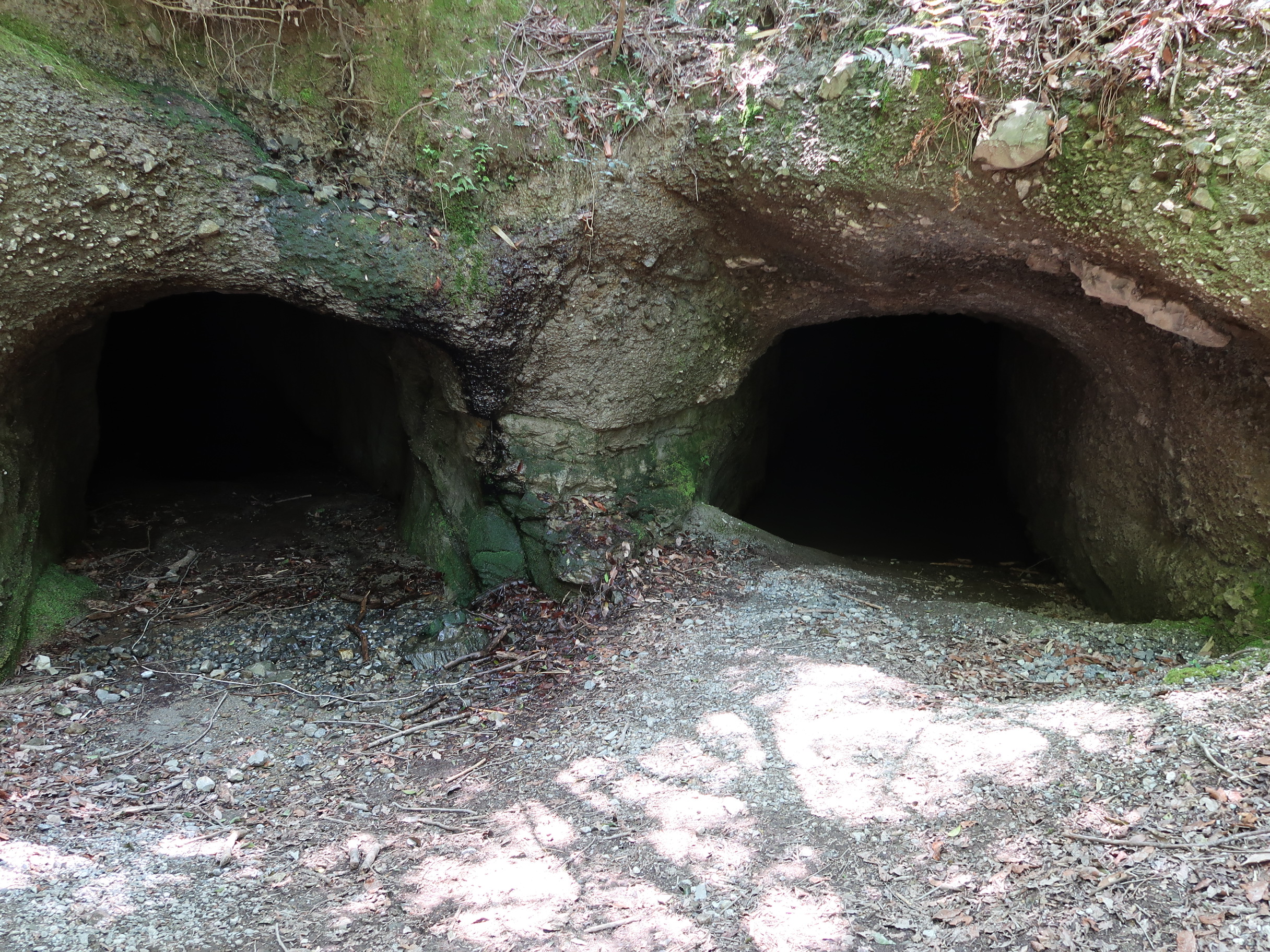屯鶴峰地下壕 Jr三郷駅 明神山 屯鶴峰 地下壕 近鉄上ノ太子駅 ゆずぽんさんの明神山 奈良県王寺町 の活動データ Yamap ヤマップ