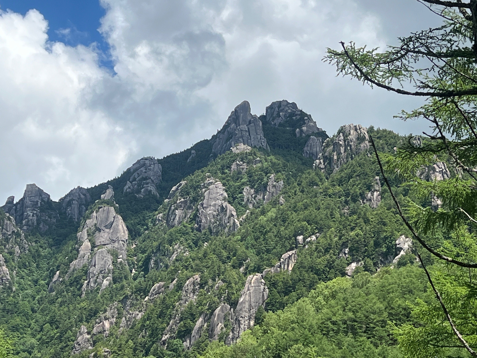 あそこまで登るの？