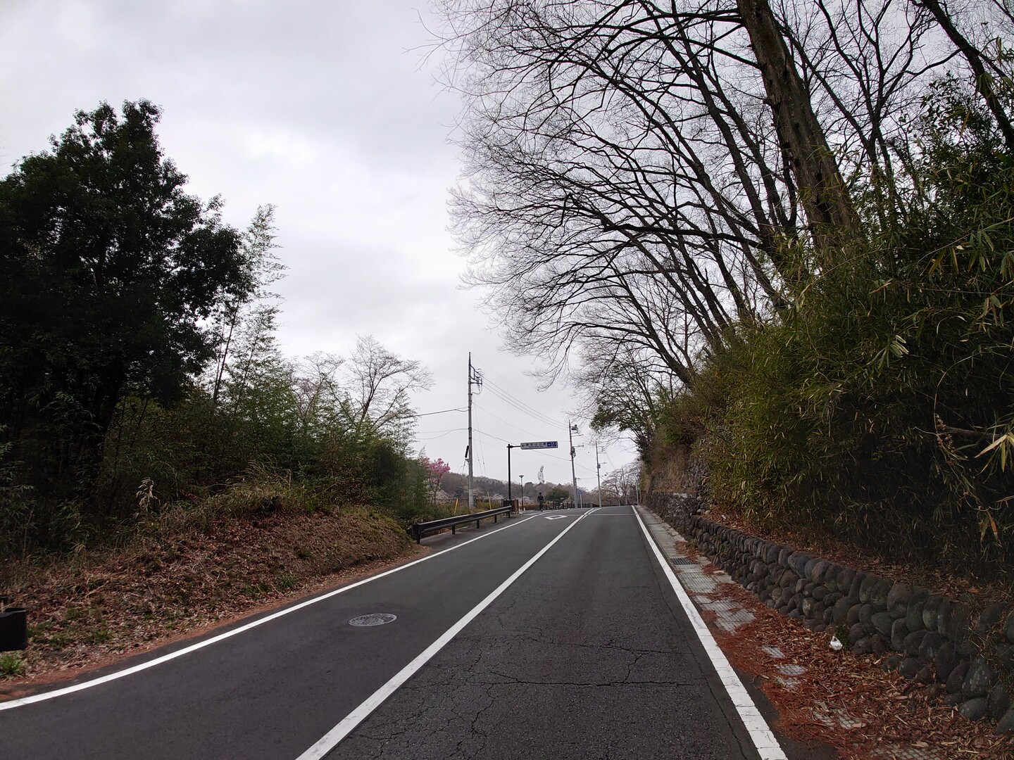 高崎自然歩道 / 高崎市の写真3枚目 YAMAP / ヤマップ