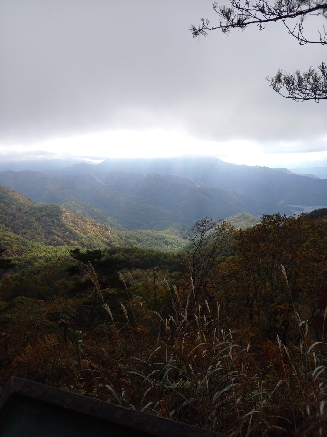 冠着山（姨捨山） / souさんの冠着山（姨捨山）の活動データ YAMAP / ヤマップ