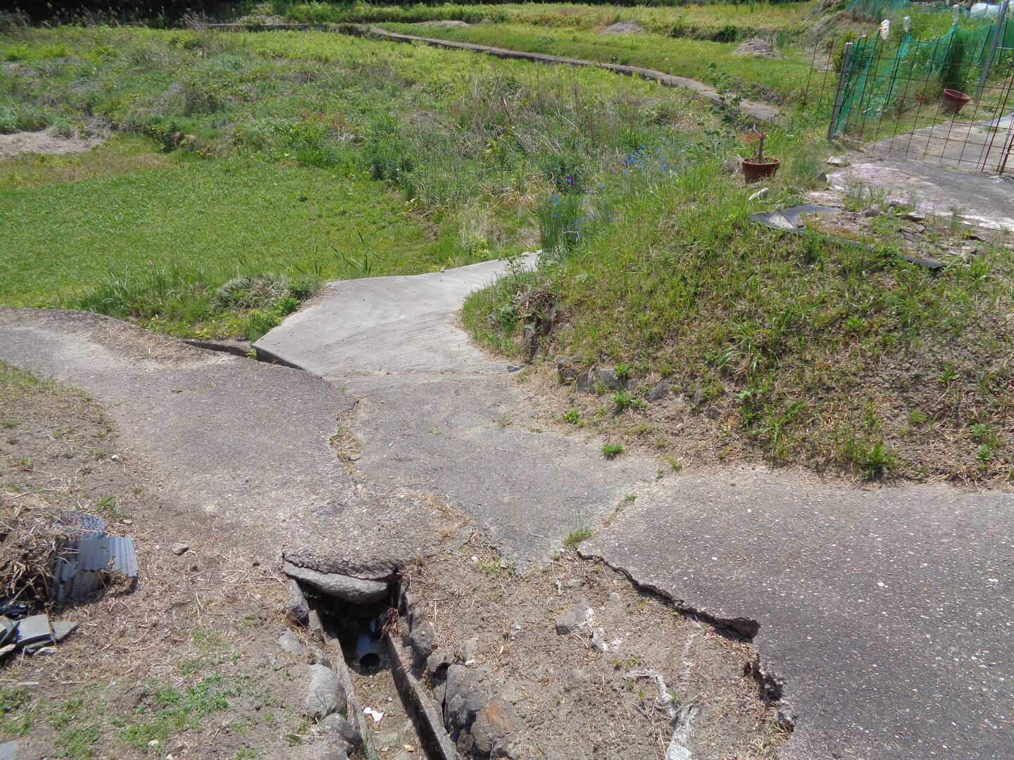 神田川左岸を彷徨 東生駒のｍさんの生駒山 神津嶽 大原山の活動日記 Yamap ヤマップ