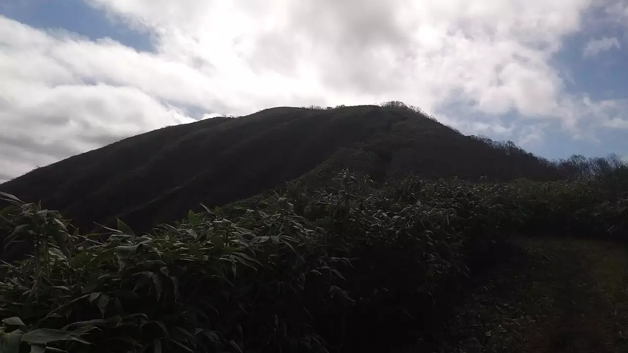 能郷白山の最新登山情報 人気の登山ルート 写真 天気など Yamap ヤマップ