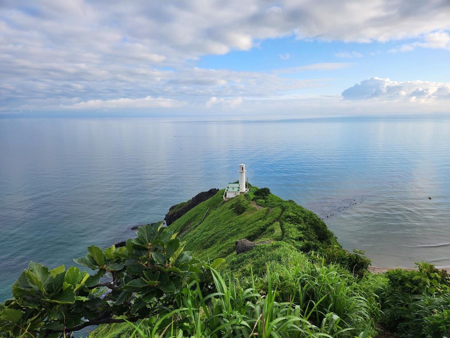 角田山（長者原山）・福井山・樋曽山・天神山・多宝山・弥彦山・妻戸山 / tomo33さんの角田山の活動データ YAMAP / ヤマップ