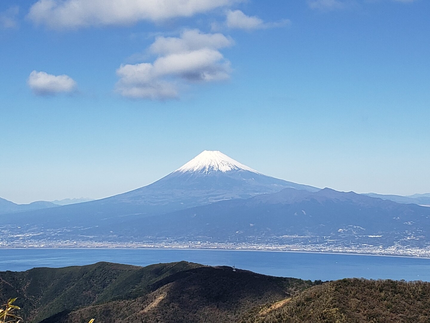 達磨山 美しい富士山 素晴らしい稜線 惚れた ノリノリさんの金冠山 達磨山 葛城山の活動日記 Yamap ヤマップ