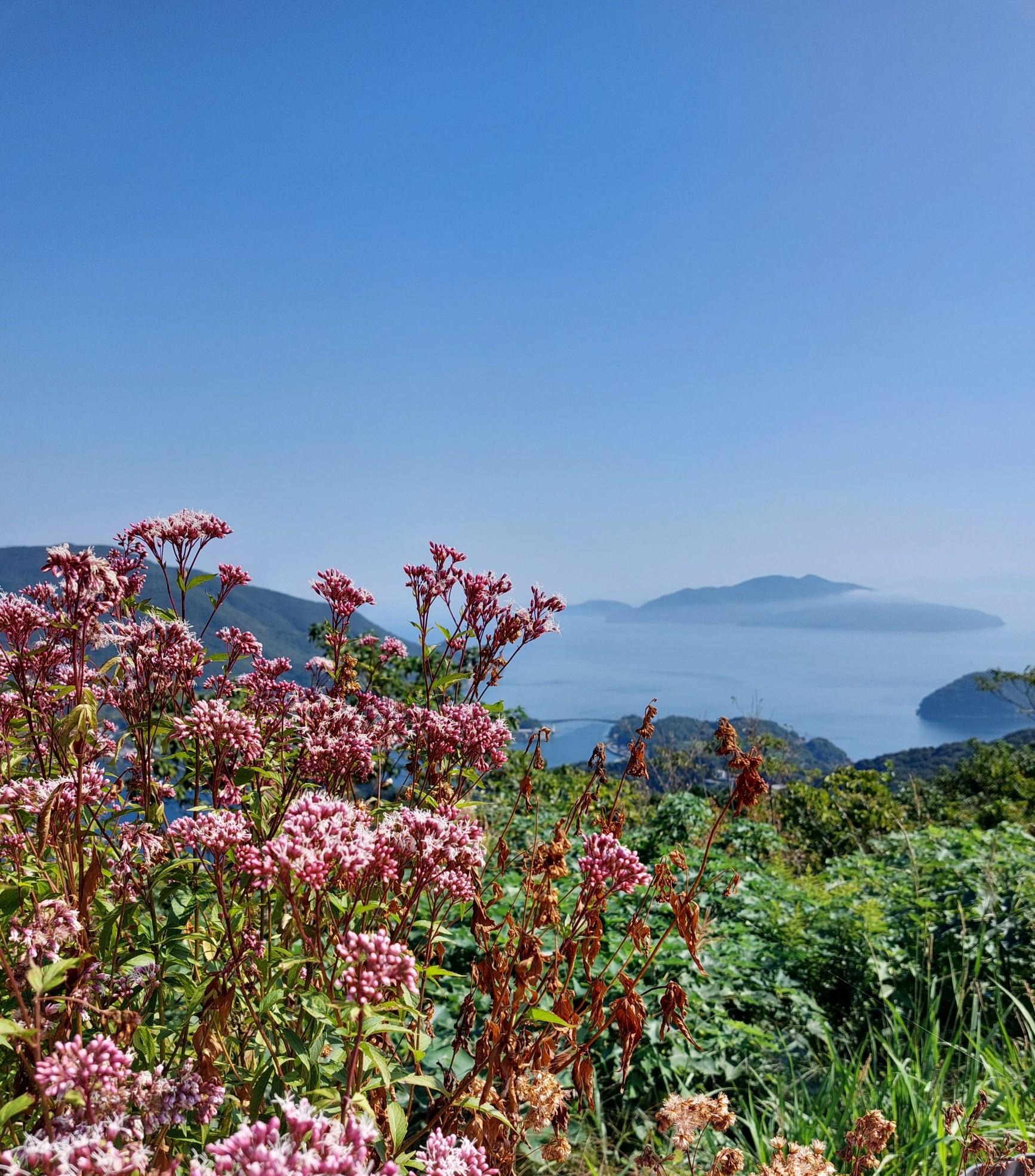 上盛山（かみさかりやま）315m / きしみさんの皇座山・大星山・上盛山の活動データ | YAMAP / ヤマップ
