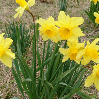 エミリンのページ YAMAP / ヤマップ