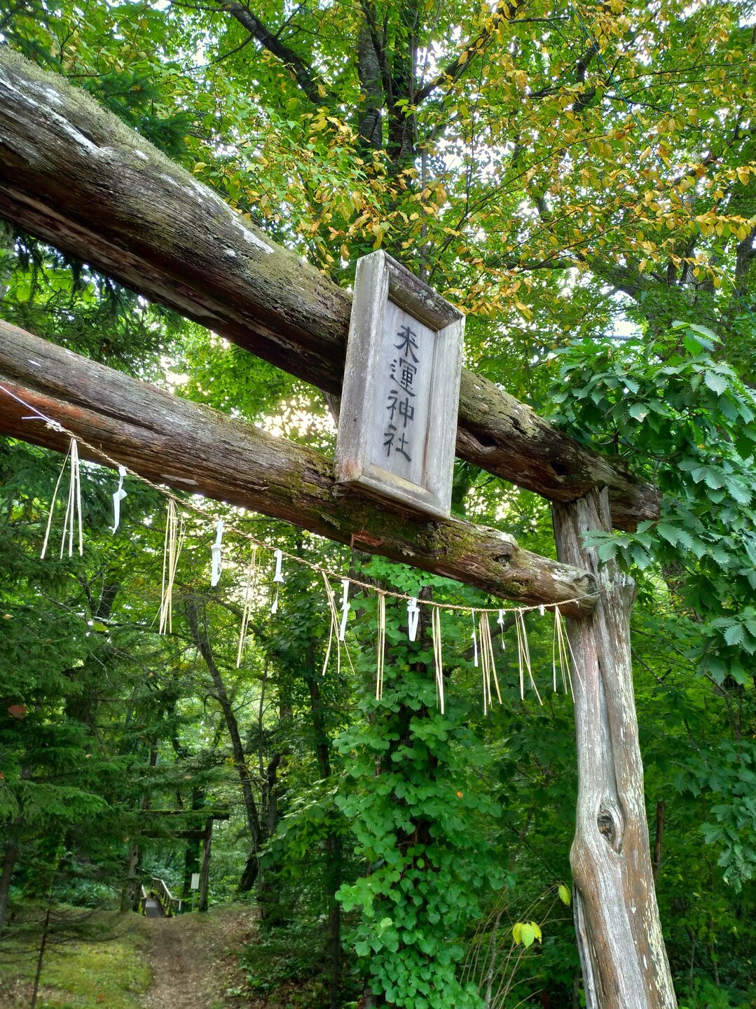 来運神社までのんびり自転車で 鍋仮面さんのサイクリングの活動データ Yamap ヤマップ