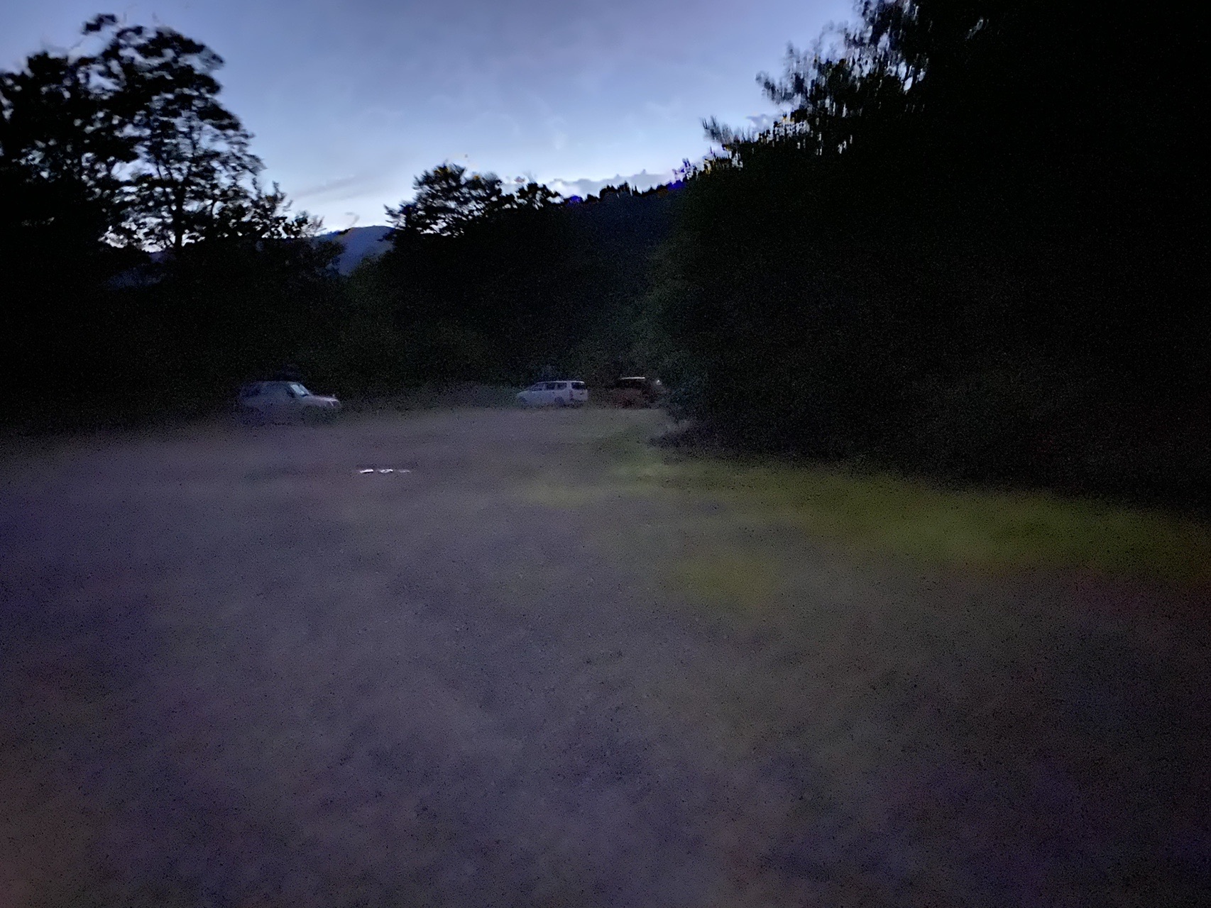 ワタスゲさんに逢いたい 苗場山 ｃｏｒｏさんの苗場山 赤倉山 佐武流山の活動日記 Yamap ヤマップ