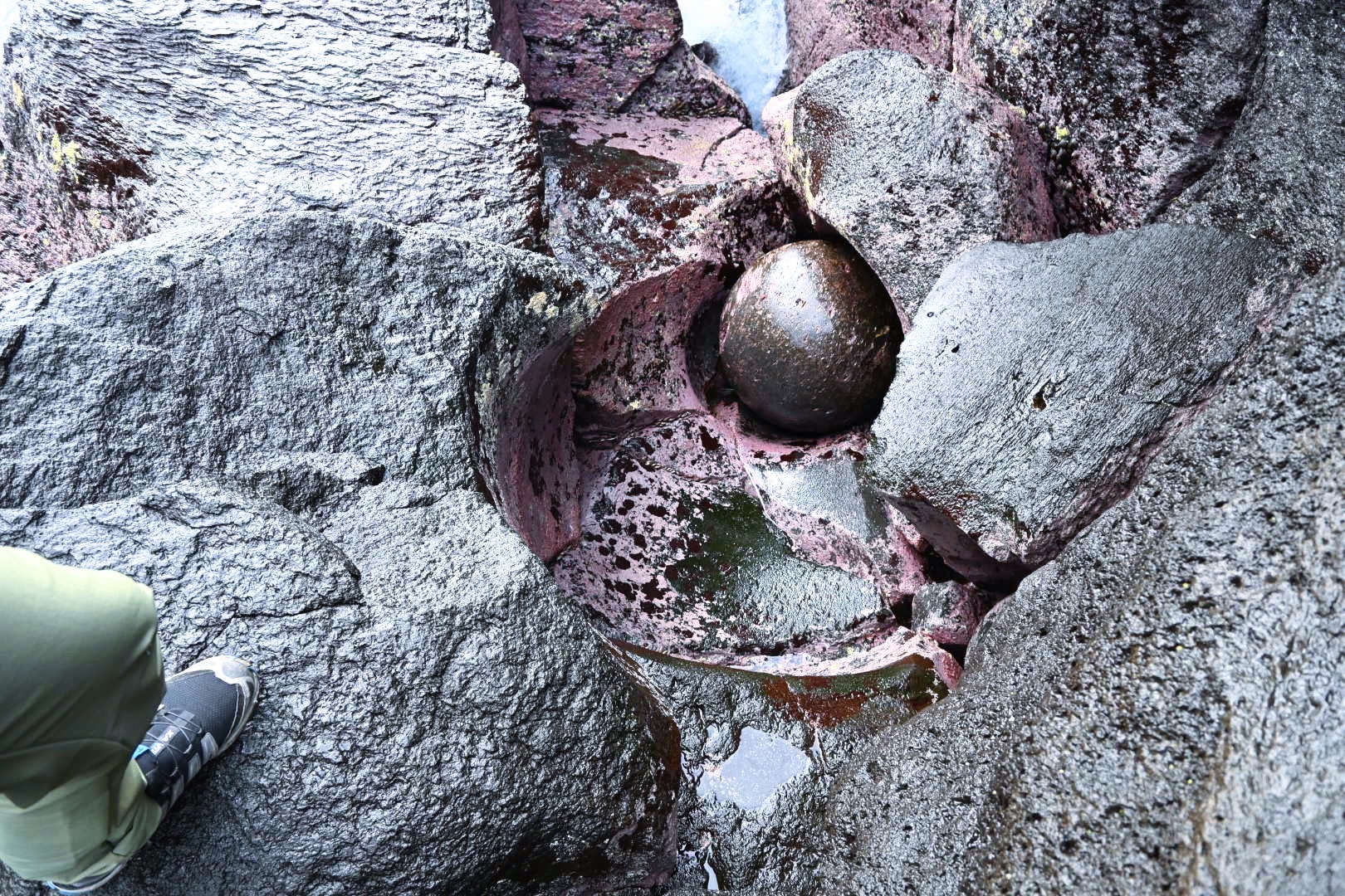 ポットホールとまんまる石 J さんの城ヶ崎海岸自然研究路コースの活動日記 Yamap ヤマップ