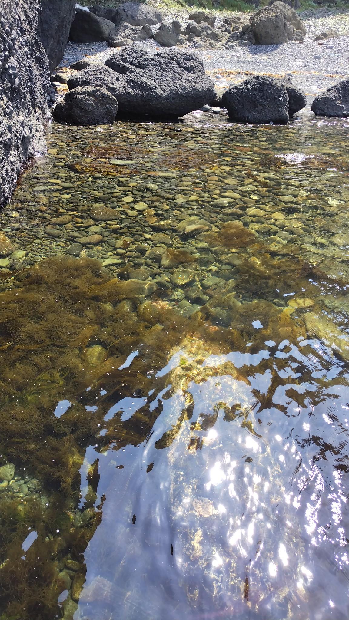 へつって進んで回り込んだ先に渡渉エリア。へつる場所がないので写真の手前に見える海中の岩に乗ってから、海の中を進む。
潮位60cmで私の股下（ちなみに私の身長は185cm）の水位。水深で70～80cmくらい。