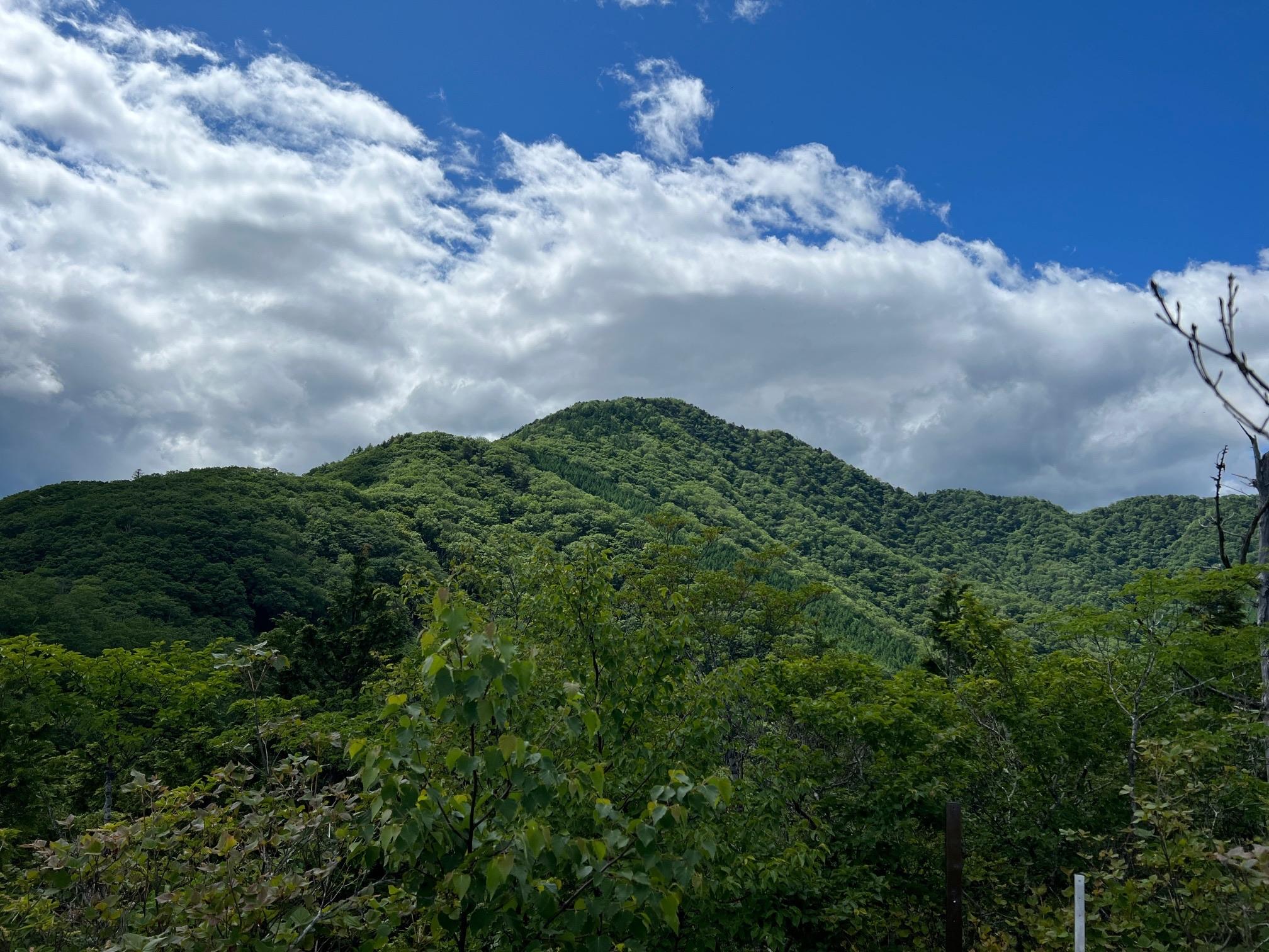 大月市秀麗富嶽十二景⑧：雁ヶ腹摺山・姥子山 / やすたかさんの雁ヶ腹摺山・岩殿山の活動データ YAMAP / ヤマップ