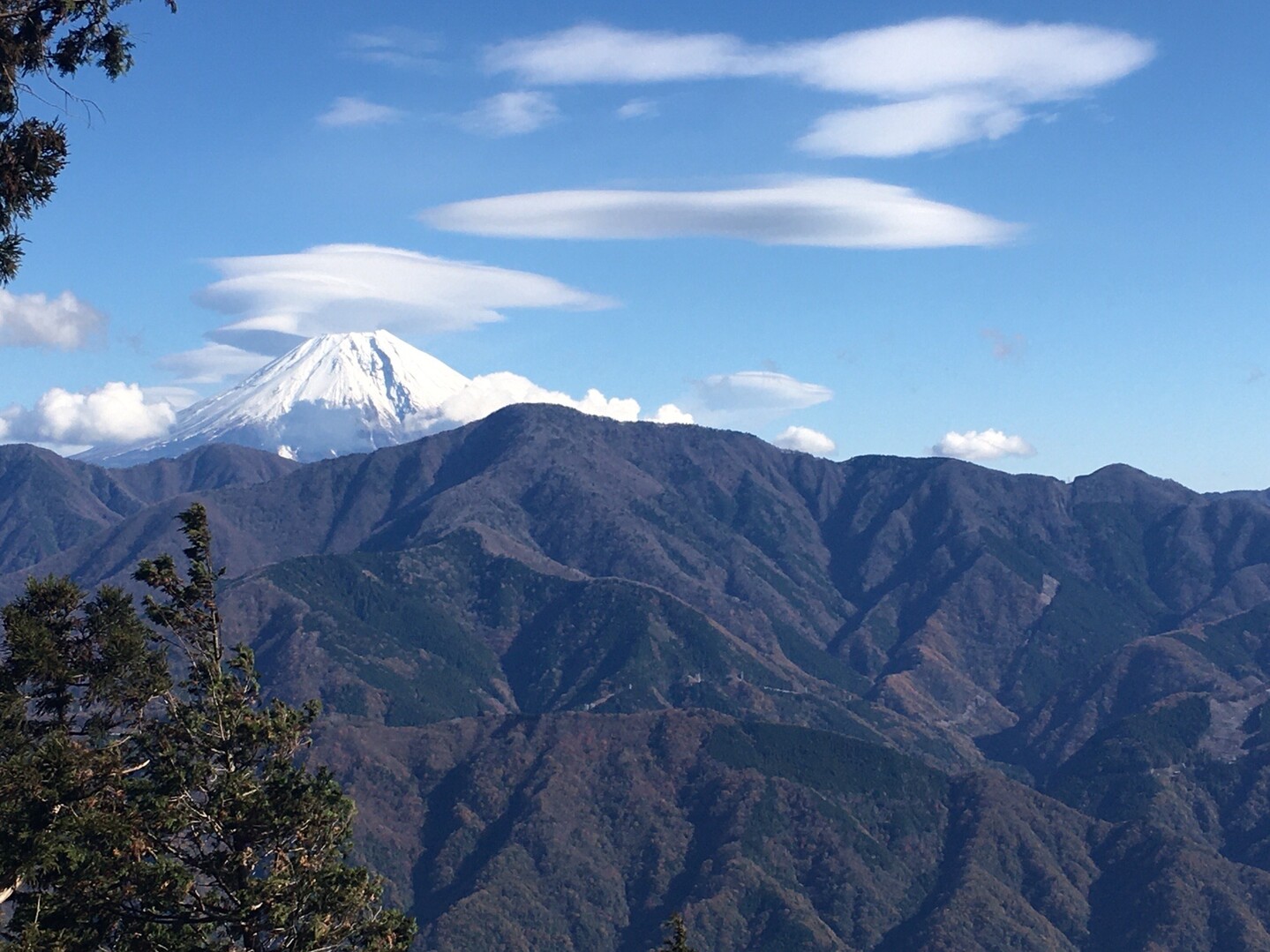 トレラン修行走 身延山 19 12 01 岳レイルさんの七面山 身延山の活動データ Yamap ヤマップ