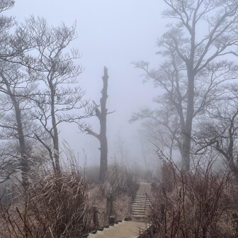 粉雪まじりのガスに覆われ、景色は何もみえず凍えました😰