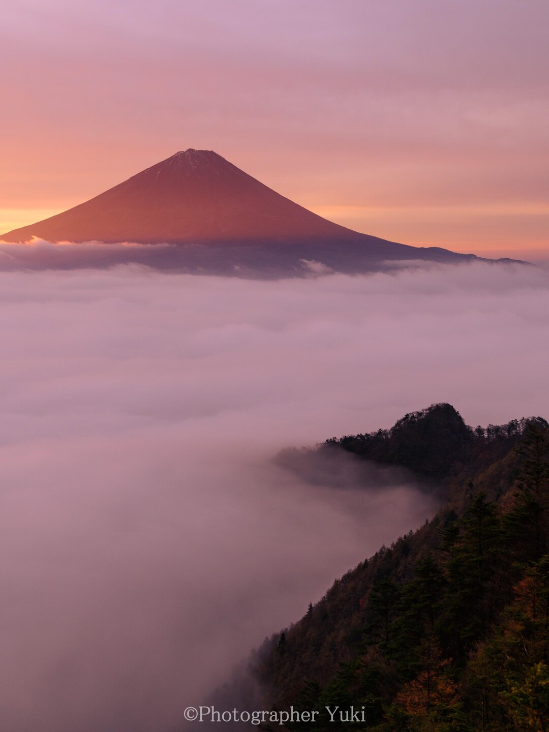 久しぶりに訪れた富士五湖。 しかし周辺は... / Yuki⛰️山岳写真📸さんのモーメント | YAMAP / ヤマップ