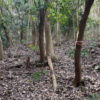 飯塚市 登る方向。