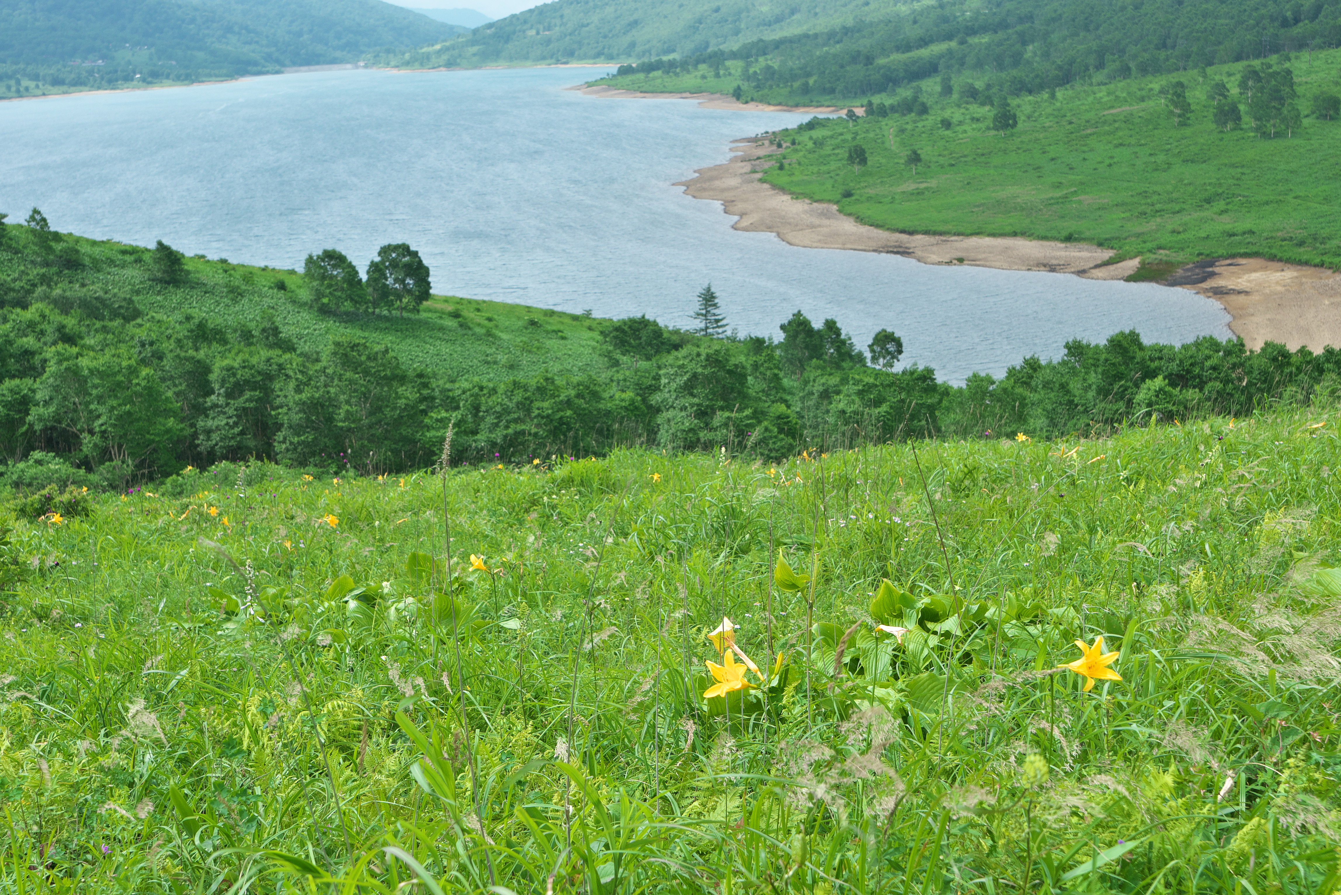 富士見峠から弁天山 エビ山 野反湖 さときちさんの高沢山 エビ山 大高山の活動データ Yamap ヤマップ