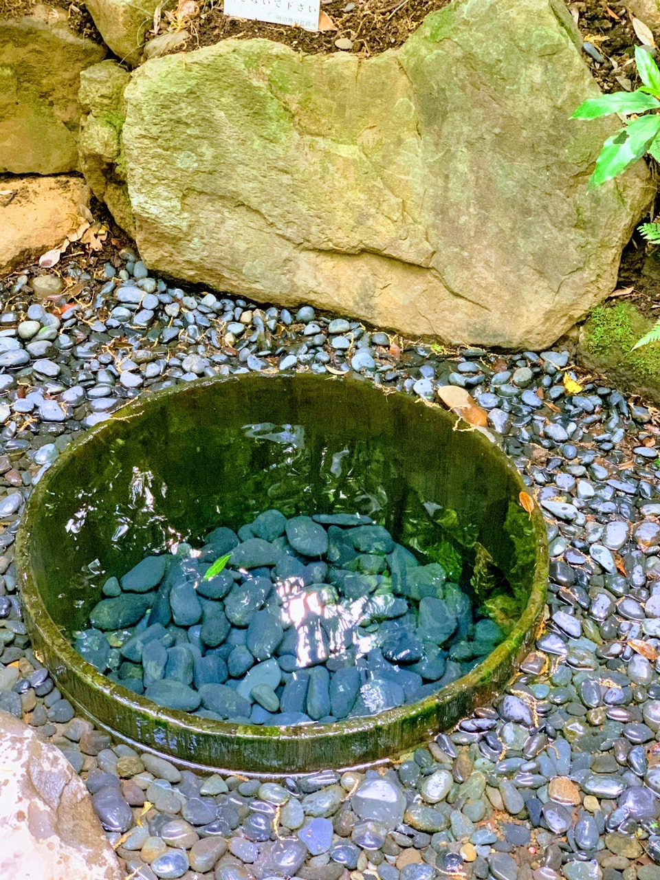 21 04 08明治神宮をぶら っとお散歩 のんさんのウォーキングの活動日記 Yamap ヤマップ