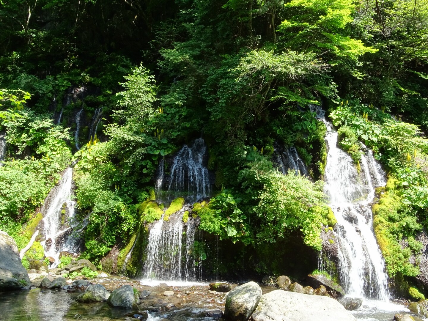 甲斐大泉駅 吐竜の滝 宇宙電波観測所 野辺山駅 八ヶ岳 赤岳 硫黄岳 天狗岳 の写真6枚目 吐竜の滝 地下水が染み出してできた滝だ Yamap ヤマップ