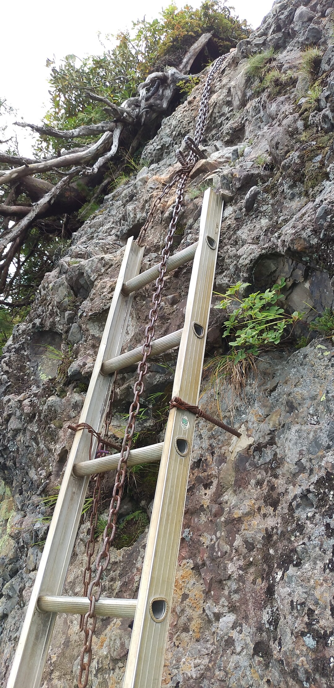八海山周回 あっちとこっちさんの越後駒ヶ岳 八海山 荒沢岳の活動日記 Yamap ヤマップ
