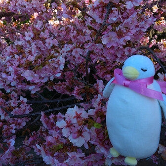 名倉金剛山 京塚山 ペン子さんの高尾山 陣馬山 景信山の活動データ Yamap ヤマップ