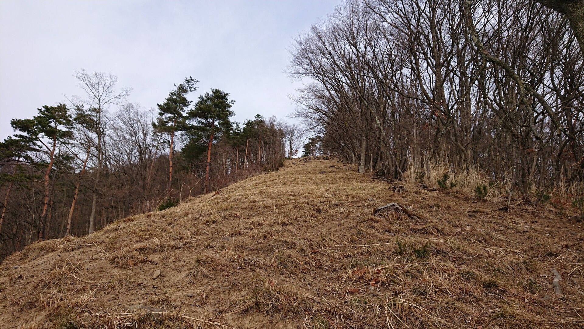 大蔵経寺山 深草山の防火帯を歩いてきました Mt 8ninさんの要害山 兜山 大蔵経寺山の活動日記 Yamap ヤマップ