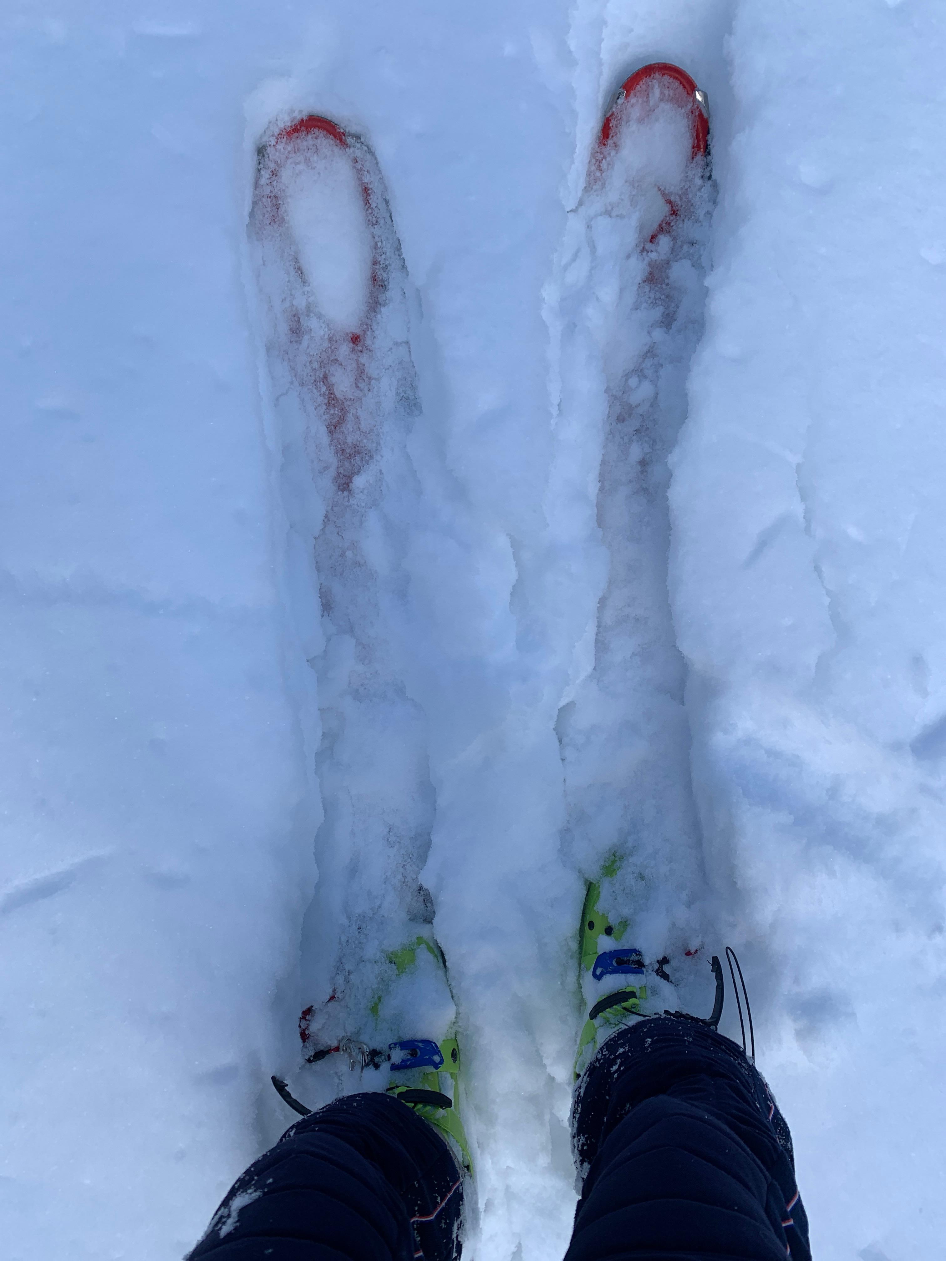 山スキーシール〔接着剤はついてません） スキーシールのグルー