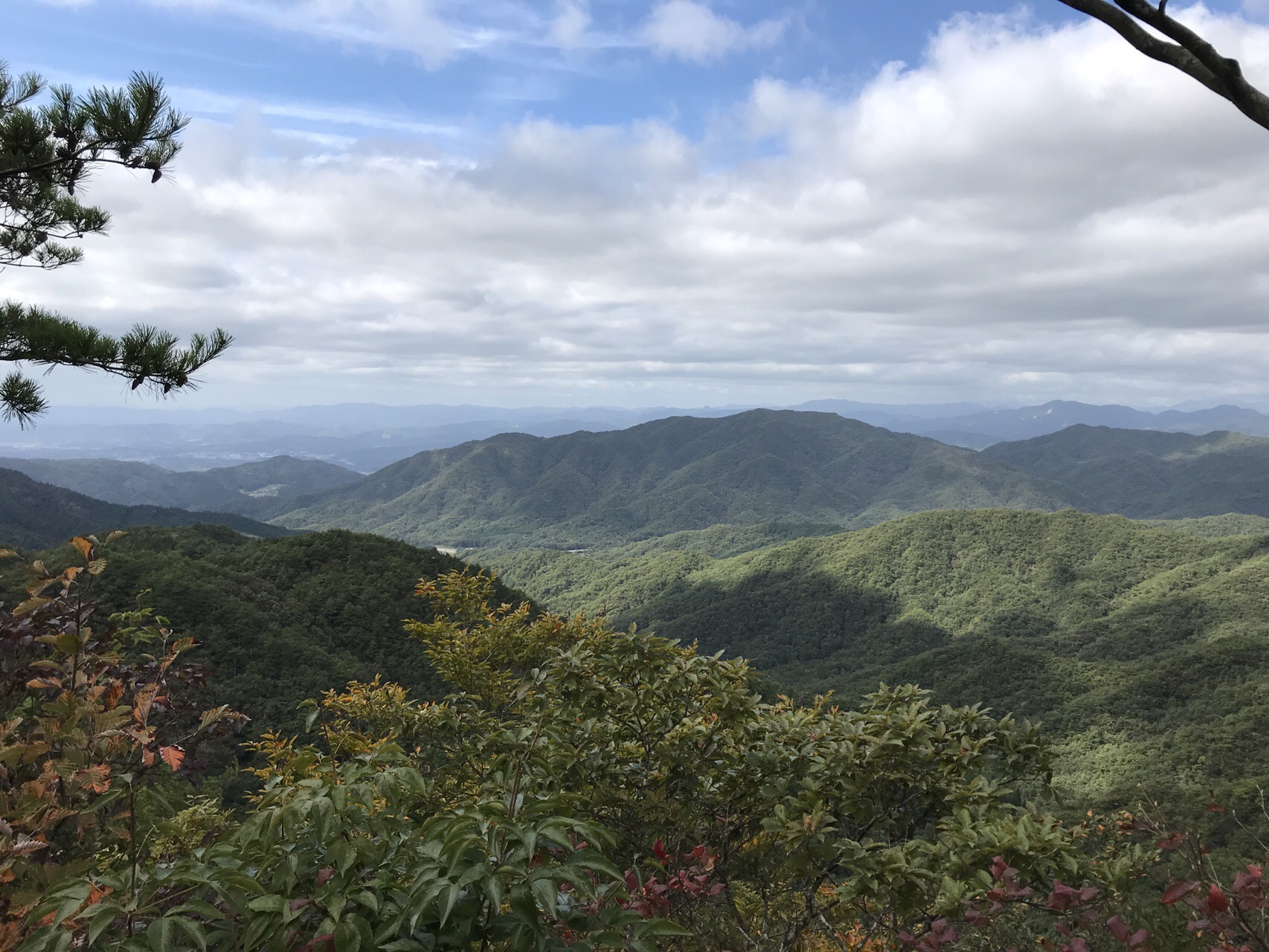葦嶽山20191015 / bekibekiさんの葦嶽山の活動データ YAMAP / ヤマップ