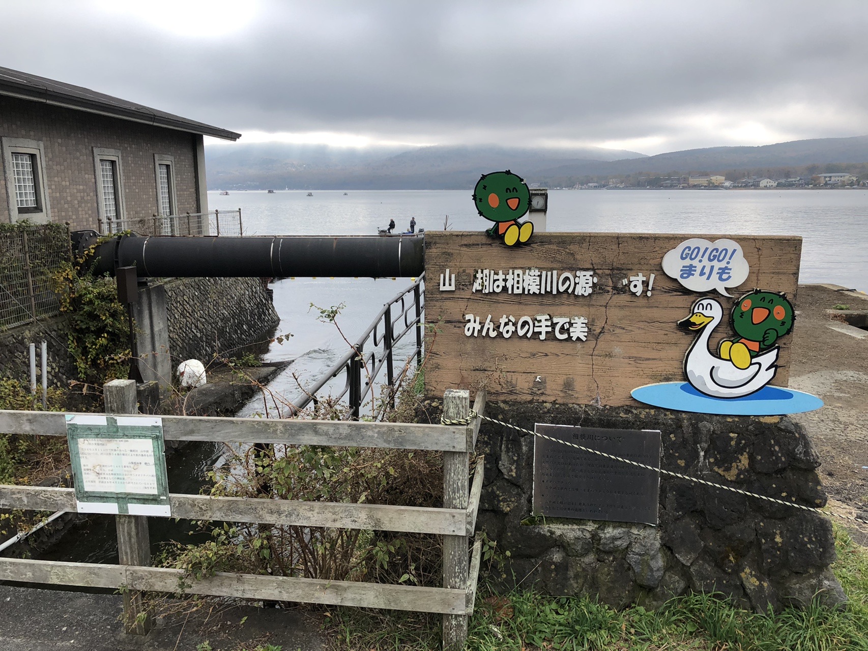 山中湖を一周歩いたらクジラ の軌跡 ぱやさんの三国山 神奈川県 山梨県 静岡県 の活動日記 Yamap ヤマップ