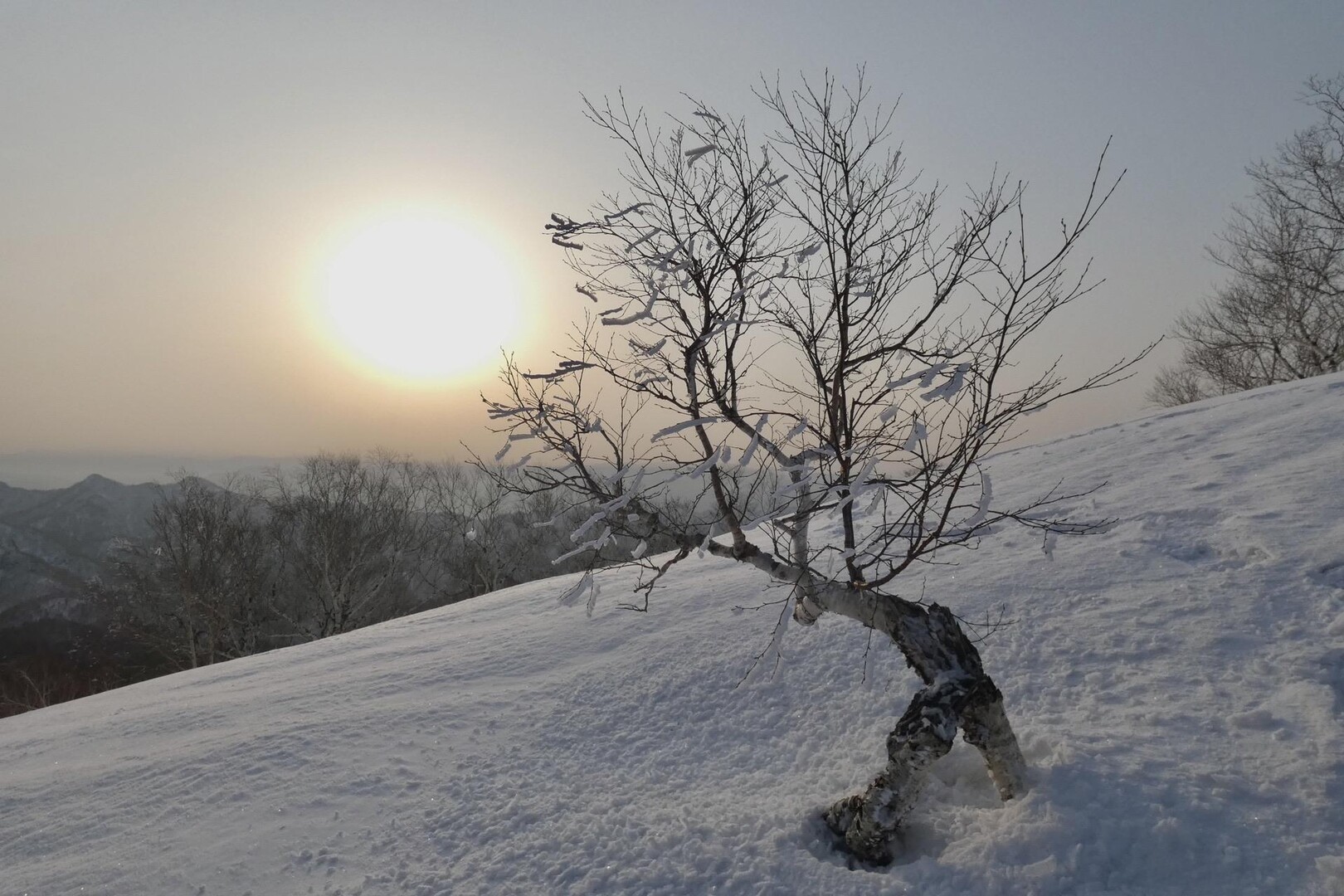 主府久・ハッタオマナイ岳 / takaさんのハッタオマナイ岳の活動データ YAMAP / ヤマップ